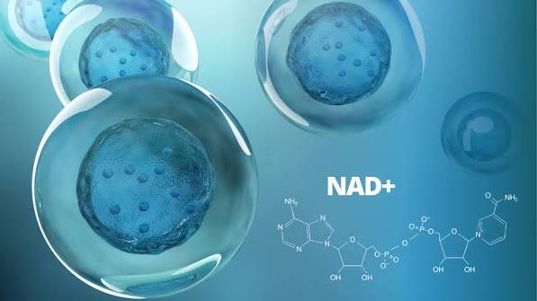 Everything you need to know about nad